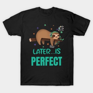 Lazy sloth,lazy days,sleeping all day is amazing. T-Shirt